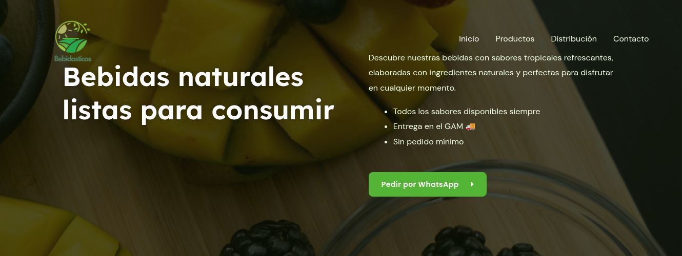 Captura del sitio de Bebidas Ticas